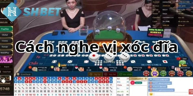 Kinh nghiệm chơi xóc đĩa từ cao thủ SHBET