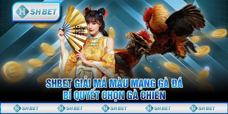 SHBET Giải Mã Màu Mạng Gà Đá - Bí Quyết Chọn Gà Chiến