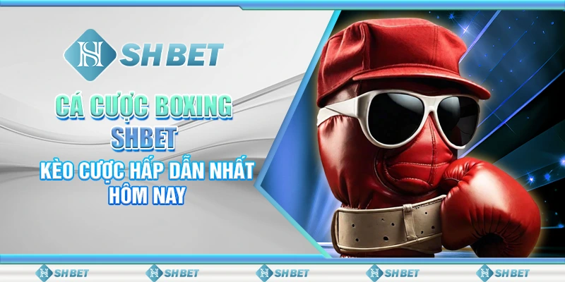 Cá Cược Boxing SHBET - Kèo Cược Hấp Dẫn Nhất Hôm Nay