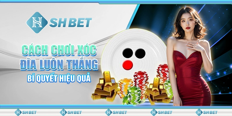 Cách Chơi Xóc Đĩa Luôn Thắng SHBET - Bí Quyết Hiệu Quả