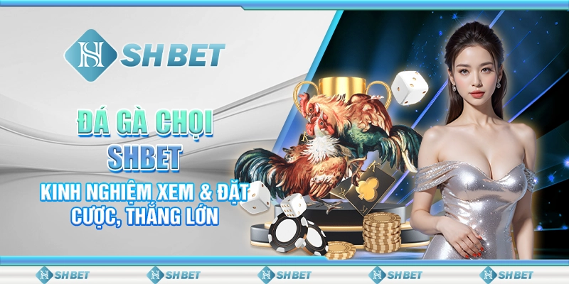 Đá Gà Chọi SHBET - Kinh Nghiệm Xem & Đặt Cược, Thắng Lớn