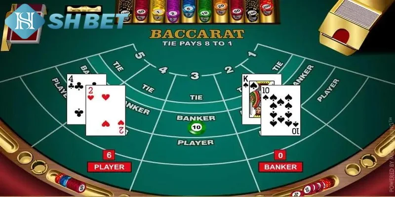 Lưu ý quan trọng khi tham gia baccarat