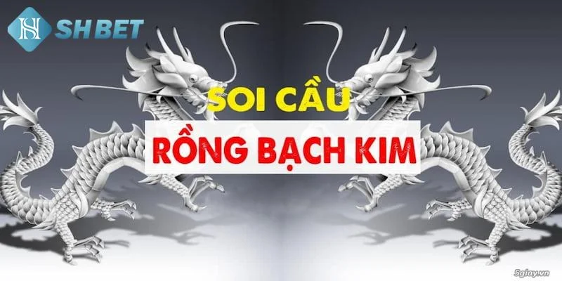 Soi cầu rồng bạch kim theo phương pháp lô gan