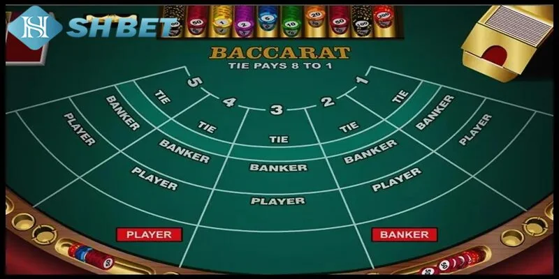 Tie baccarat là gì và tại sao cần chú ý