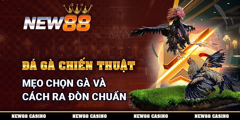 Đá gà chiến thuật