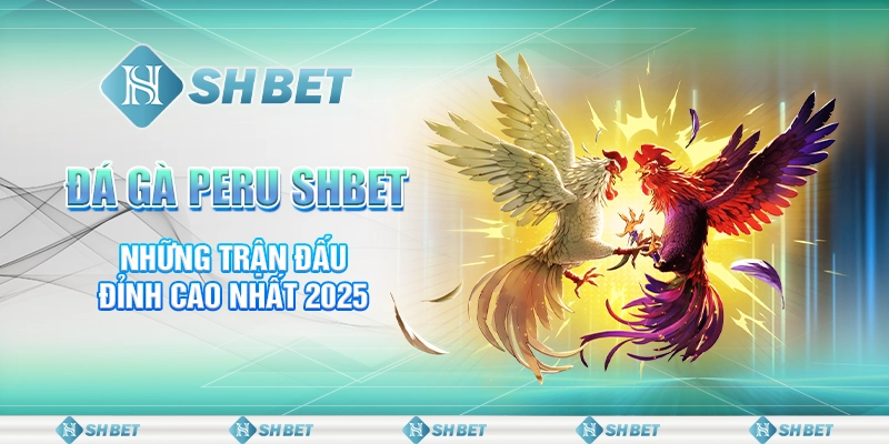 Đá Gà Peru SHBET - Những Trận Đấu Đỉnh Cao Nhất 2025