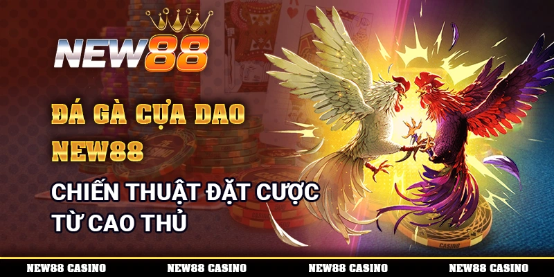 Đá Gà Cựa Dao